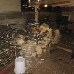 Fire Wood Fo Sale 