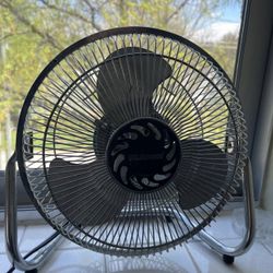 Fan