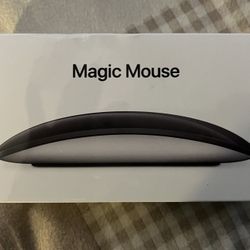 Apple Magic Mouse 