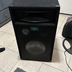 Too Dj Speakers In Perfect Condition for ($150)Price Is Firm