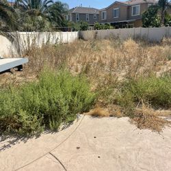 Yard Clean Up
