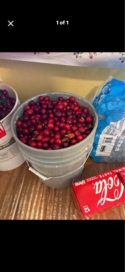 Cherries
