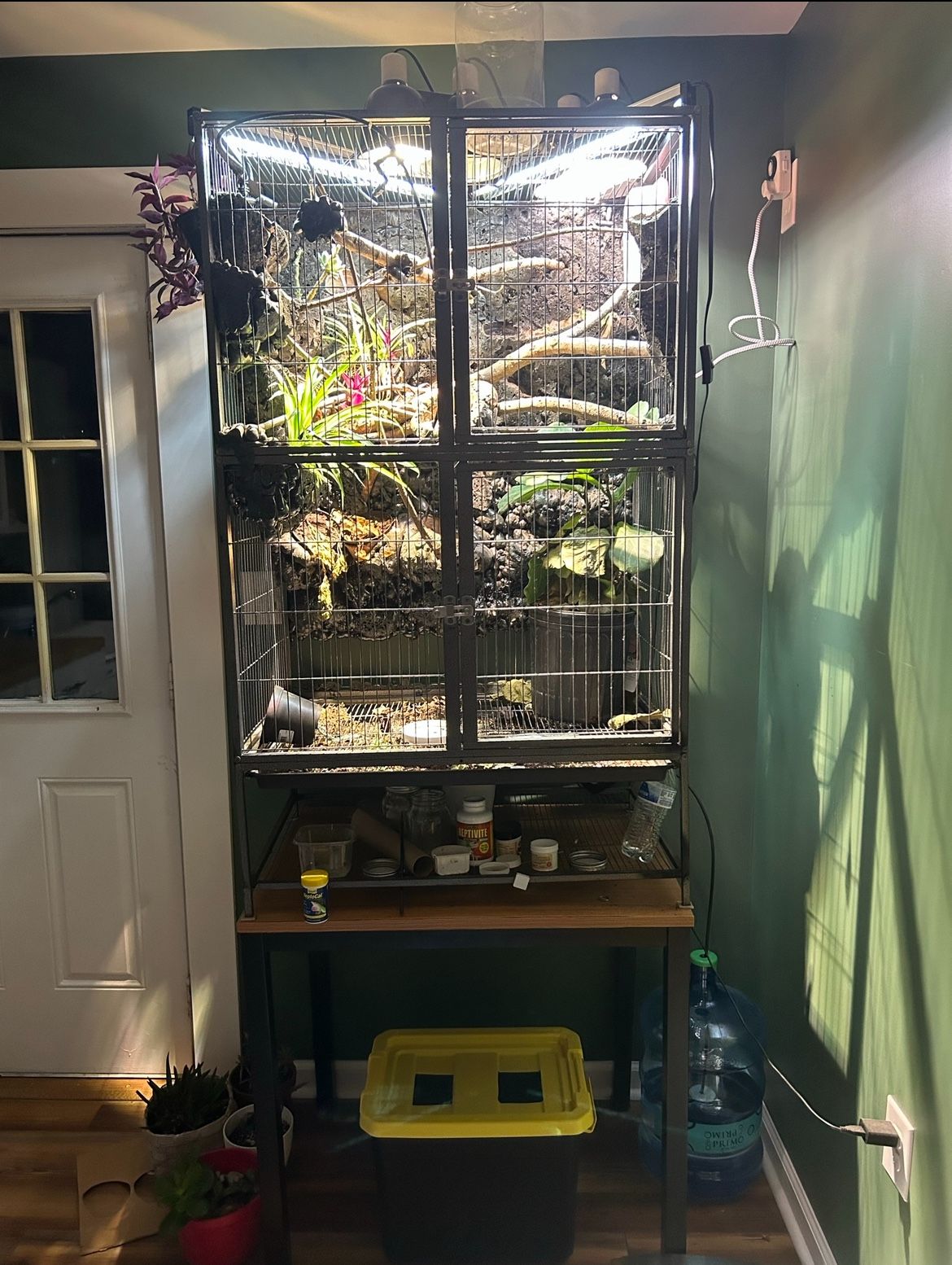 Custom Built Chameleon Cage w/ Assessories