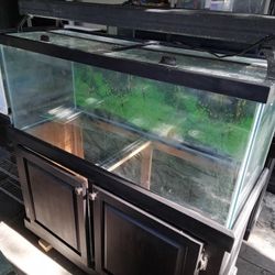 Fish Tank 75 G