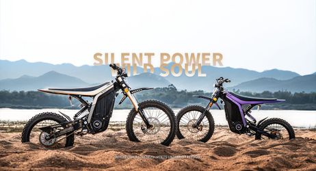 New 79BIKE-Lynx 12KW 40AH