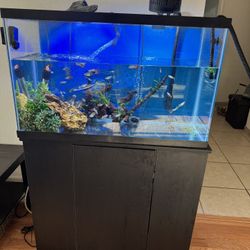 Kinda New Aquarium 