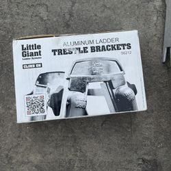 Little Giant Ladder Accessories 