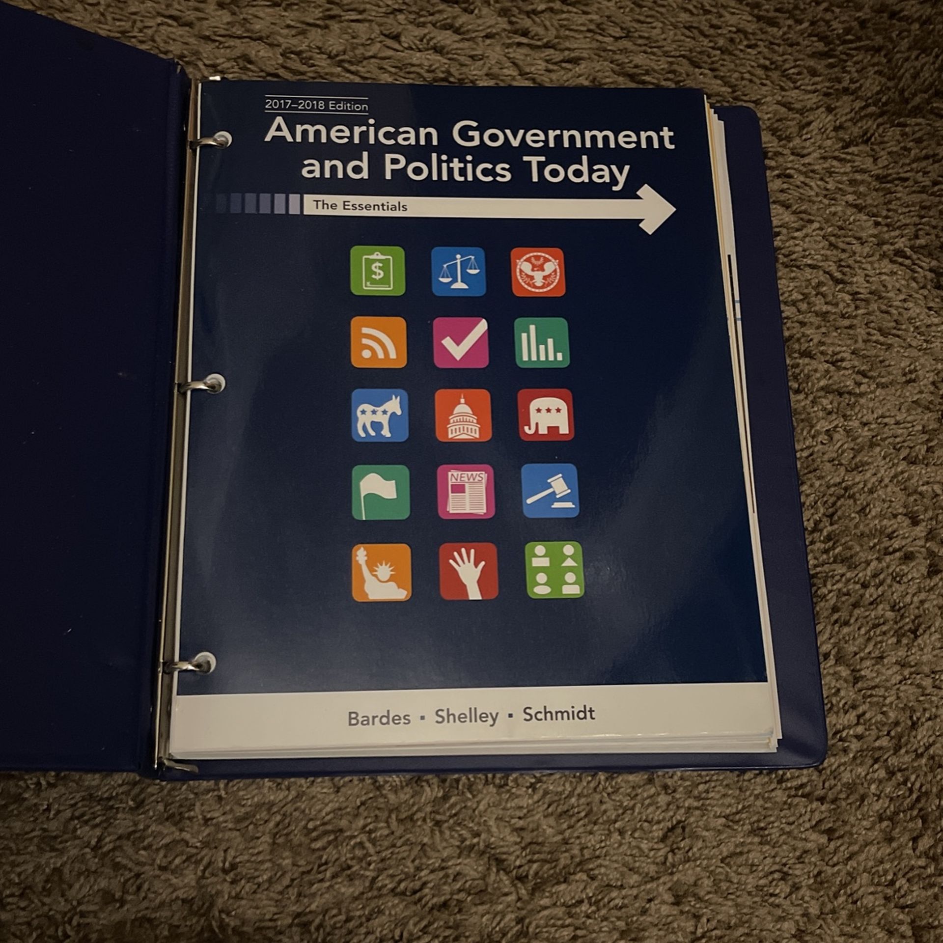 American Government And Politics Today