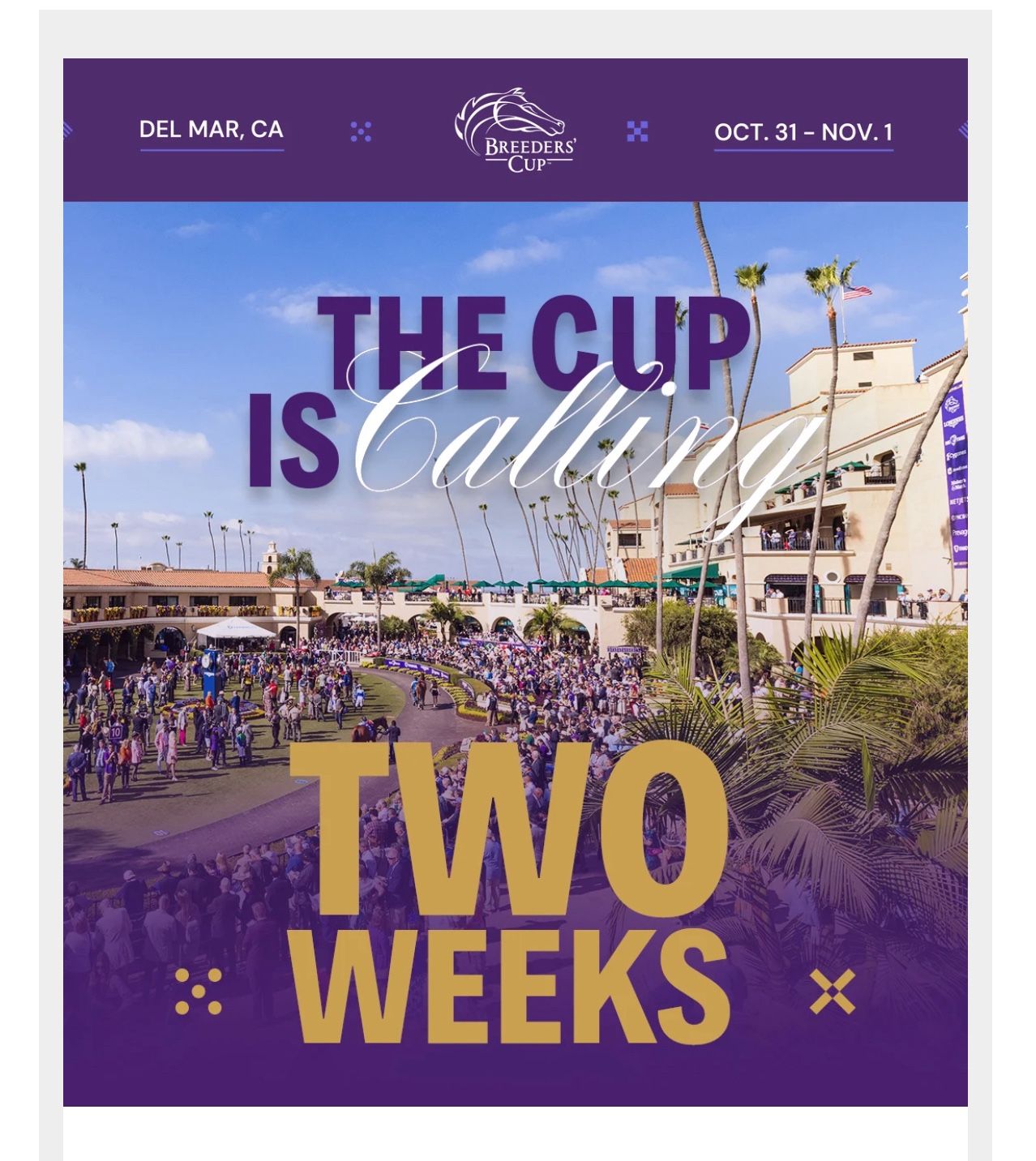 2025 Breeders’ Cup Day Nov 1st - Del Mar, CA - 2 Tickets-The Beach Infield Event