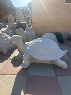 New Large Turtle Made Out Of Cement