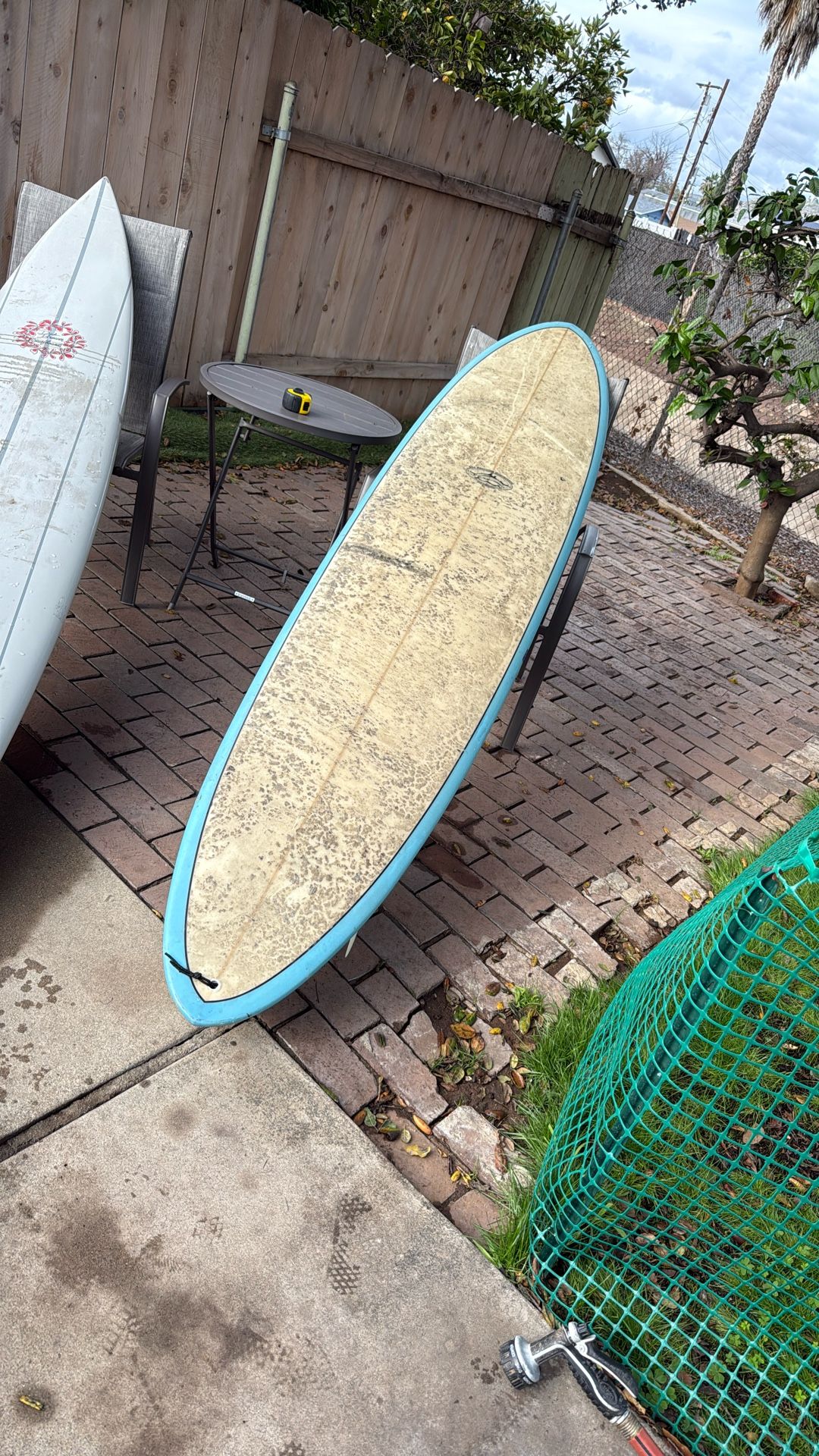 See Brother Surf Board