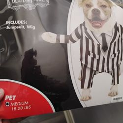 Beetlejuice Pet Costume 