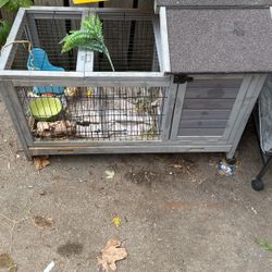 Free Cages And  Pond 