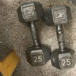 2, 25 pound dumbbells 