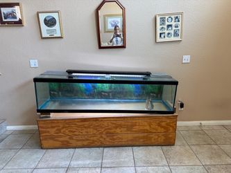 Aquarium Light Filter Gravel Rocks Plants Heaters