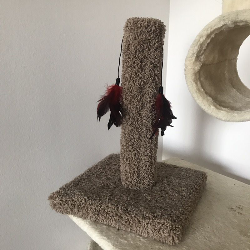 Cat Scratch Post with Feather Toys