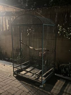 Bird Cage