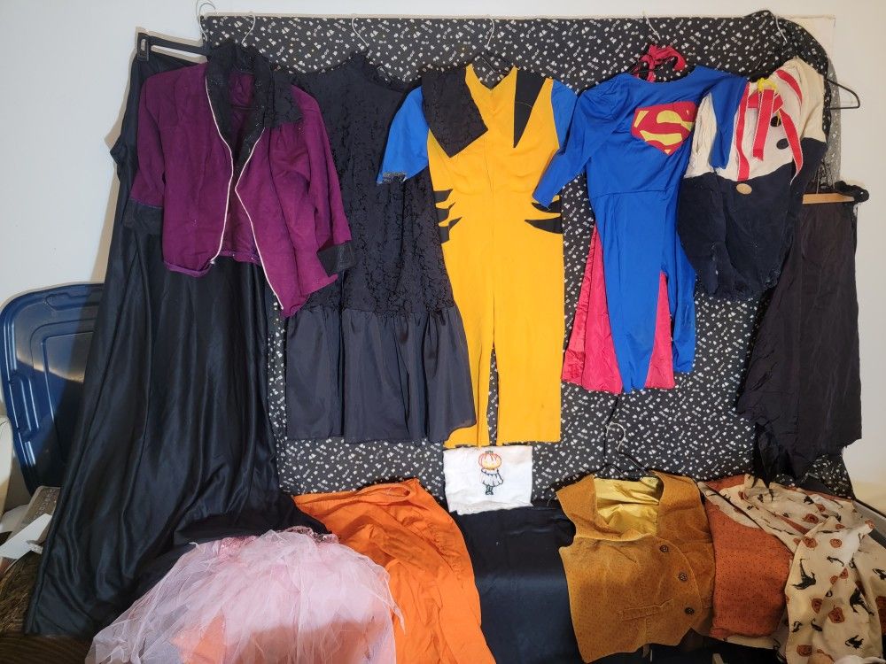 Last Minute Homemade Halloween    Costumes $5-???