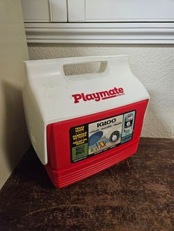 Small ice chest igloo