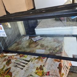 Vendo Pecera 