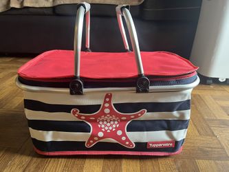 Insulated Picnic Basket