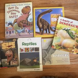 Dinosaur Kid Books
