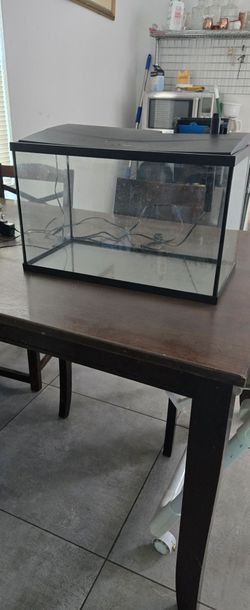 10 gallon fish tank