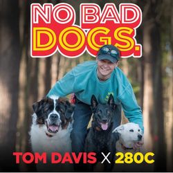 TOM DAVIS 280C Dog Training Collar