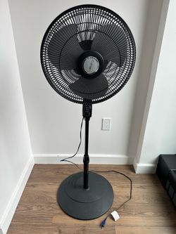 Stand Fan