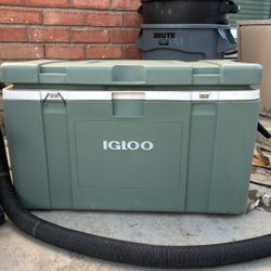 Igloo Cooler