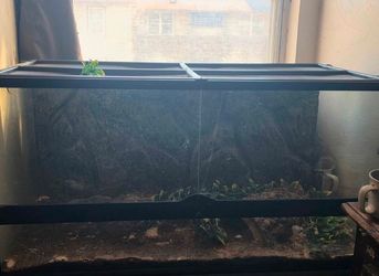 18x18x38 front open terrarium