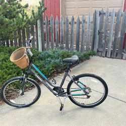 Trek - Mountain Bike