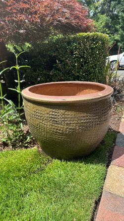 1 pot