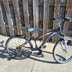 Schwinn Mountain Bike 