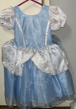 Cinderella Costume 