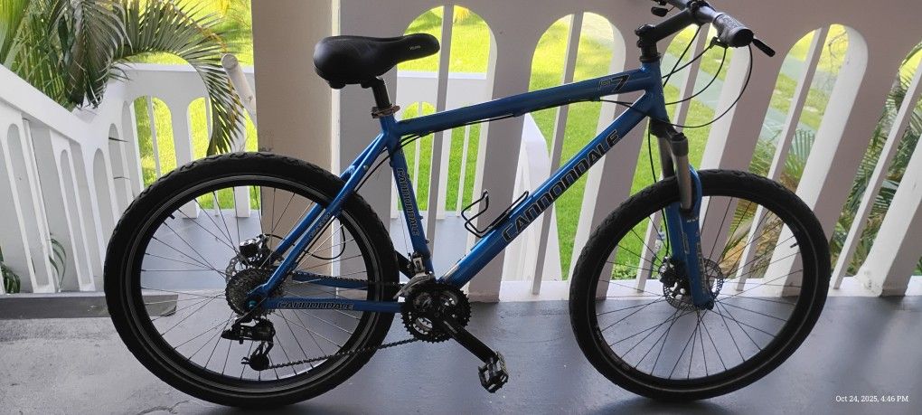 Cannondale Mountain Bike XL