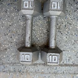 20 Pounds Dumbbells 