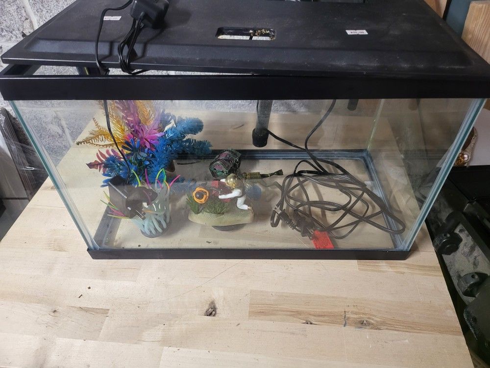 Fish Tank 10 Gallon Aquarium