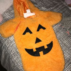 Pumpkin costume