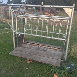 Cattle Chute 