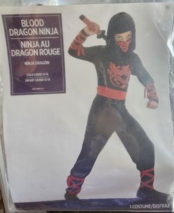 Ninja Boys Costume