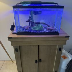 Fish Tank And Stand 10 Gallon