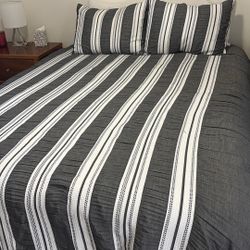 comforter with 2 pillows