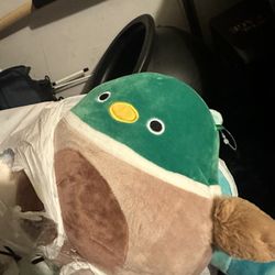 Squishmallow RARE 