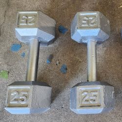 25 Pound Hexagon Dumbbells