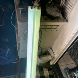 Shop Lights Sylvia Fluorescent Tubes