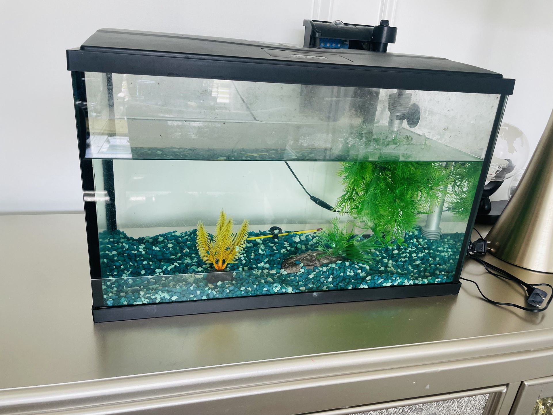 Fish Tank