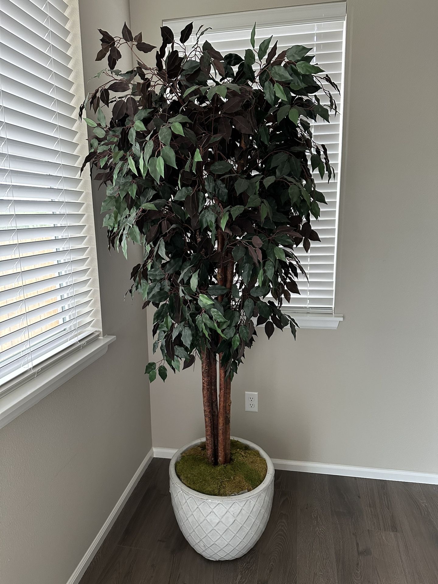 6ft Tall Artificial Ficus Tree