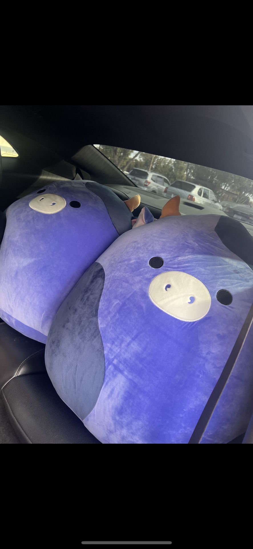 24 Inch Ingred Giant Purple Cow Squishmallow