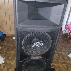 Peavy 500 Watts  Dual 2-way Outdoor 15" Speaker Cabinets